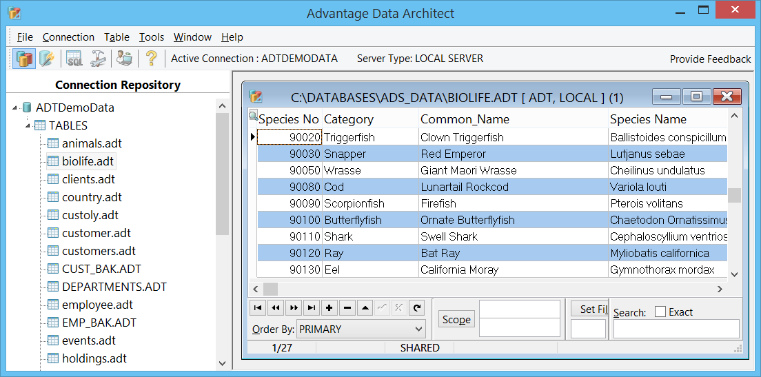 Advantage Data Architect